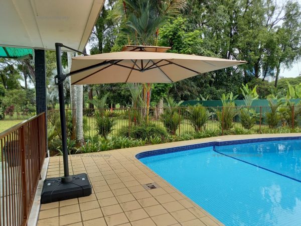 Pool deck umbrella zebano